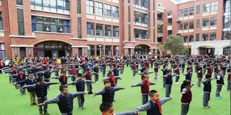 綠蛙成功落戶于樂灣國際實驗小學(xué)多功能廳